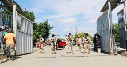 Ejército recupera ganado en la frontera; las localizaron con drones
