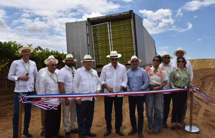 RD envía primer contenedor de uvas de mesa a EE.UU. desde Guayubín