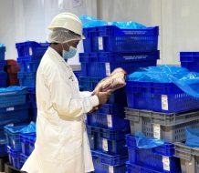 RD seguirá exportando carnes a EE.UU. tras auditoría que revalida la calidad en los procesos