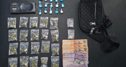 Autoridades ocupan drogas y apresan a dos personas durante operativos en SDN