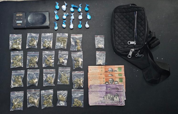Autoridades ocupan drogas y apresan a dos personas durante operativos en SDN