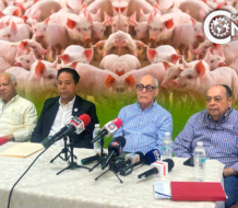 Expertos sugieren al Gobierno eliminar toda la población porcina en RD para erradicar PPA