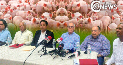 Expertos sugieren al Gobierno eliminar toda la población porcina en RD para erradicar PPA