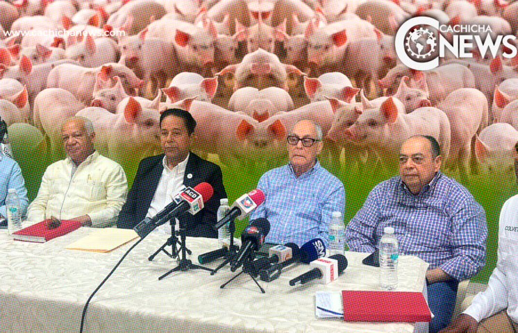 Expertos sugieren al Gobierno eliminar toda la población porcina en RD para erradicar PPA