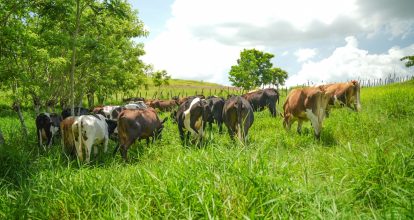 En el Día de la Tierra, Dos Pinos reafirma su compromiso con la sostenibilidad