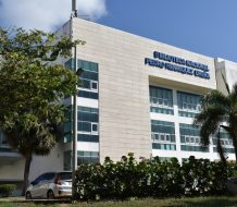 Biblioteca Nacional celebra el Día del Libro con homenaje a bibliotecarios y a la literatura infantil