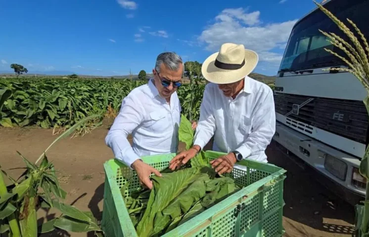 Tabaco dominicano se consolida como líder global con exportaciones a 148 países; según Intabaco 