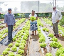 Desarrollo de la Comunidad y FAO buscan relanzar proyectos agroalimentarios