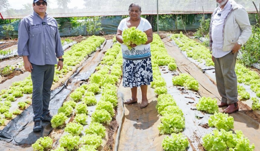 Desarrollo de la Comunidad y FAO buscan relanzar proyectos agroalimentarios