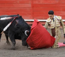 Activistas piden al papa León XIV que rompa lazos con las corridas de toros