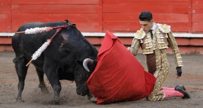 Activistas piden al papa León XIV que rompa lazos con las corridas de toros