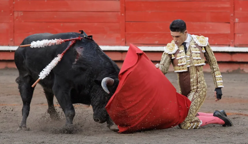 Activistas piden al papa León XIV que rompa lazos con las corridas de toros