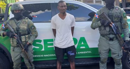 Arrestan haitiano acusado de matar tiburón en playa Guayacanes