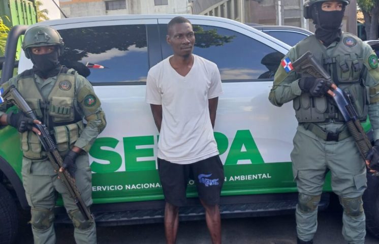 Arrestan haitiano acusado de matar tiburón en playa Guayacanes