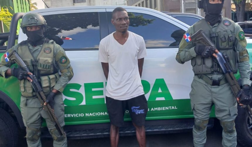 Arrestan haitiano acusado de matar tiburón en playa Guayacanes