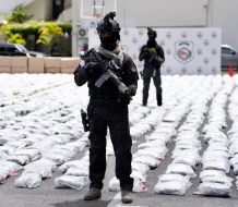 Incautan cargamento de presunta marihuana en Puerto de Haina con un peso de 6,740 libras  