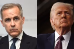 Trump y Mark Carney se reunirán el próximo martes en la Casa Blanca para negociar los aranceles. FUENTE EXTERNA