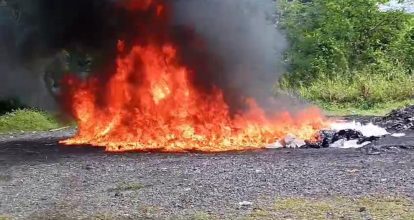 El Inacif destruye cargamento de 300 kilogramos de drogas
