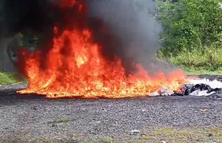 El Inacif destruye cargamento de 300 kilogramos de drogas