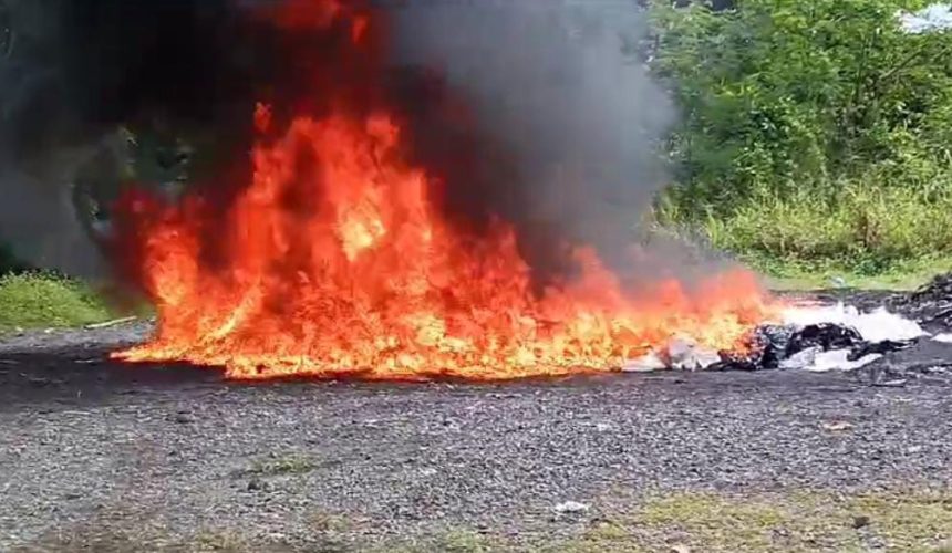 El Inacif destruye cargamento de 300 kilogramos de drogas
