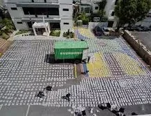 DNCD aseguran que marihuana incautada en Haina fue enviada desde Guatemala