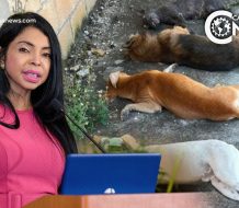 La Procuraduría General reabrirá su Unidad de Protección Animal