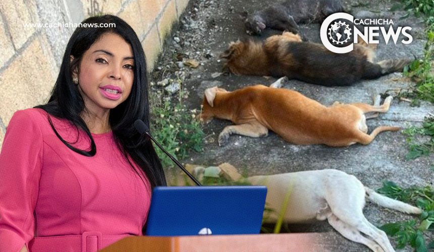 La Procuraduría General reabrirá su Unidad de Protección Animal