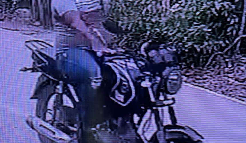 PN y MP arrestan a “Jodón”, acusado de múltiples arrebatos de carteras en Santiago