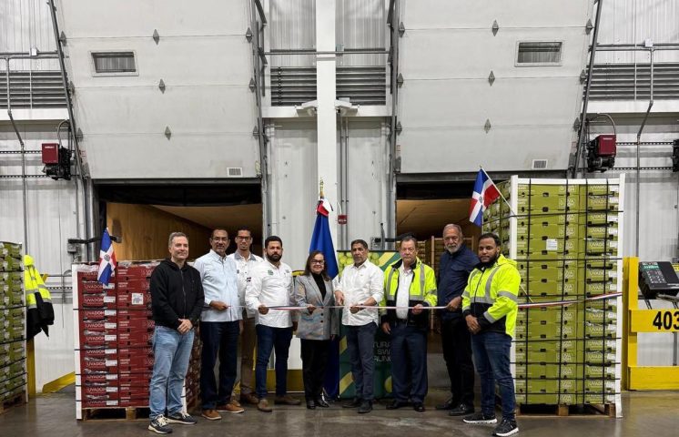 Llegan a puerto de EE.UU. primeros furgones de uvas de mesa dominicana