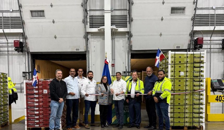 Llegan a puerto de EE.UU. primeros furgones de uvas de mesa dominicana