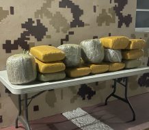 Autoridades decomisan 135 libras de un vegetal que se presume es marihuana