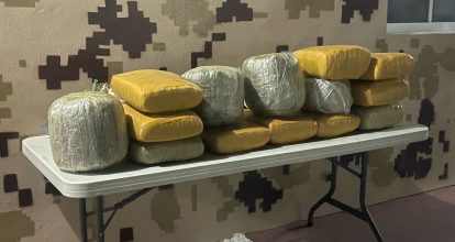 Autoridades decomisan 135 libras de un vegetal que se presume es marihuana