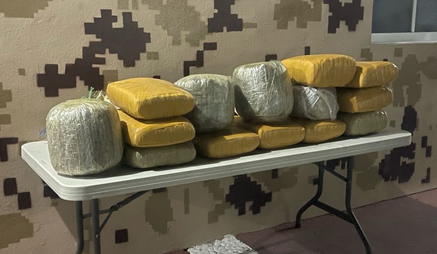 Autoridades decomisan 135 libras de un vegetal que se presume es marihuana