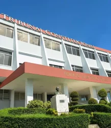 Tribunal Constitucional elimina restricciones a pensiones por sobrevivencia y salud