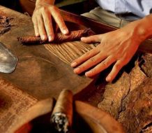 República Dominicana se consolida como líder en la industria del tabaco 