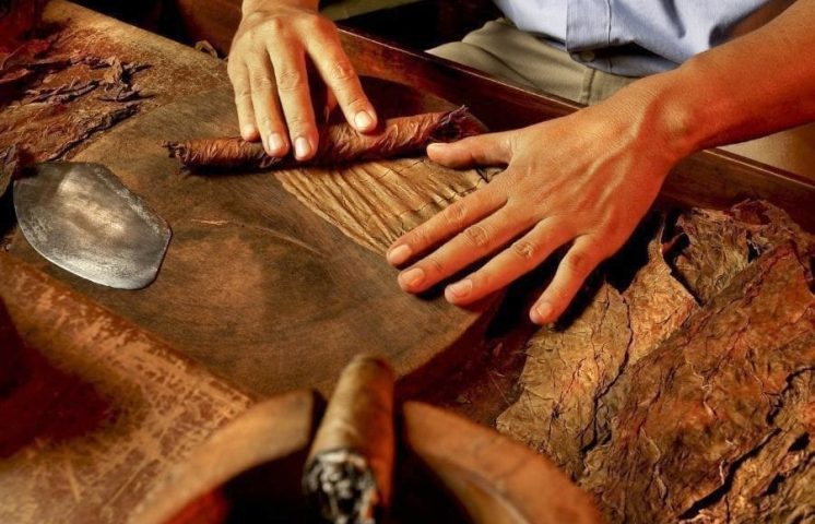 República Dominicana se consolida como líder en la industria del tabaco 