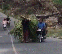 Joven es obligado a cargar matas de plátanos tras ser sorprendido robando