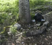 Encuentran cadáver de hombre atado a un árbol en finca de San Pedro