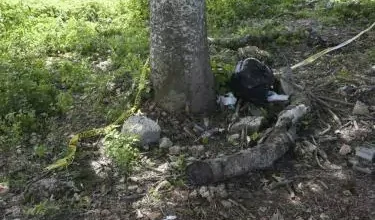 Encuentran cadáver de hombre atado a un árbol en finca de San Pedro