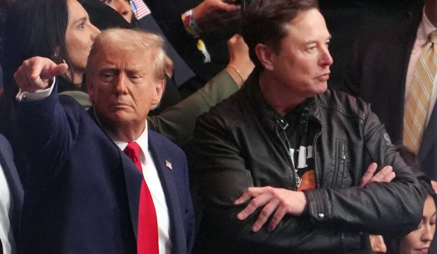 Musk arremete contra Trump: “Sin mí habría perdido las elecciones”