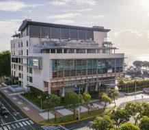 MP solicita 18 meses de prisión preventiva contra ocho personas imputadas en Operación Begonias