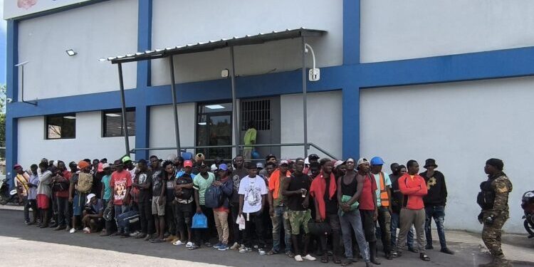 Operativo migratorio: detienen 38 haitianos indocumentados en Dajabón