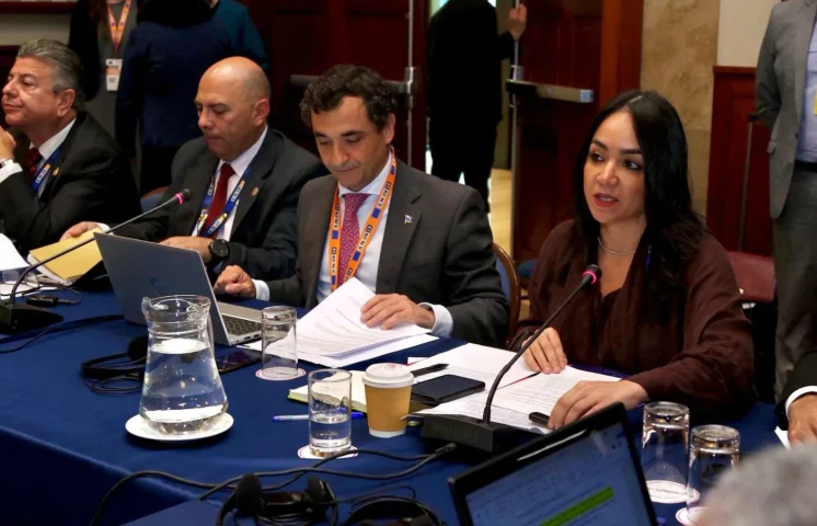 Faride Raful resalta en Perú el valor de las políticas públicas basadas en datos