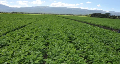 Gobierno destina fondo de RD$100 millones para modernizar riego agrícola en el sur