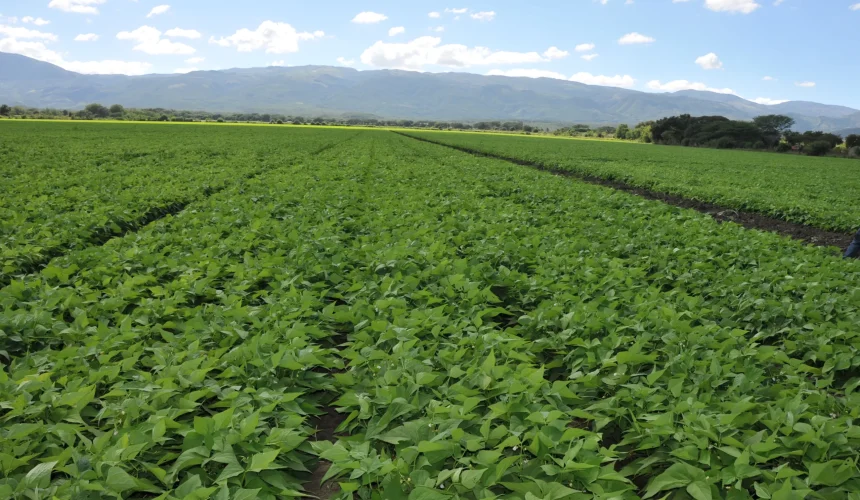 Gobierno destina fondo de RD$100 millones para modernizar riego agrícola en el sur