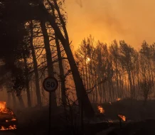 Incendio forestal obliga a evacuar zonas costeras cerca de Atenas