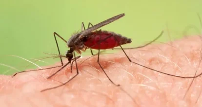 La primera vacuna contra la malaria costará menos de 5 dólares