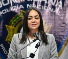 Faride Raful destaca una reducción en las denuncias recibidas por robo