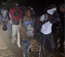Detienen 30 haitianos indocumentados en Montecristi; estaban ocultos en la zona rural