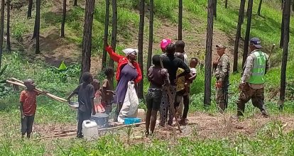 Arrestan haitianos indocumentados por depredación al medio ambiente en Dajabón